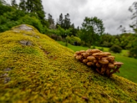 Isle of Skye